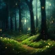 FOREST OF FANTASY