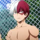 Shoto Todoroki