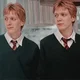 The Weasley Twins