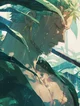 Zoro