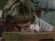 Willard Stiles