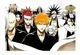 Bleach RPG