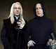 Malfoy and Snape