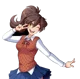 FeMC