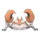 Kyle Krabby 