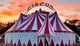 Circus RP