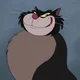 Lucifer the cat 