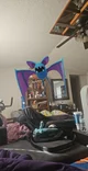 Wild Zubat 