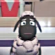 Wooly the sheep