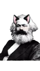 Cat Karl marx 