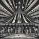 Circus