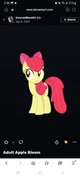 Adult Apple bloom