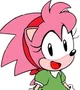 Classic amy rose 