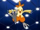 Combusken Foot RP