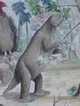 Megalocnus