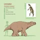Prepotherium