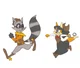 Raccoon and Coyote 
