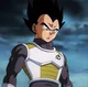 Vegeta 