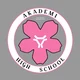 Akademi High school