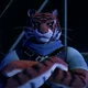 Tigerclaw