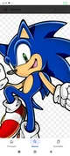 Sonic the hedgehog