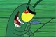 Plankton