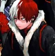 Shoto Todoroki
