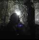 TWD RPG 