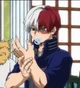 Shoto Todoroki