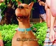 Scooby Doo