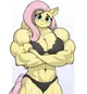 Muscleshy