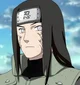 Neji Hyuga 
