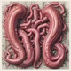 Large intestines
