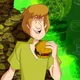 Shaggy Rogers