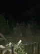 Cementerio