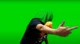 The Pato