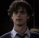 Spencer reid