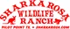 SharkarosaWildlife
