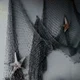 02 - FINNICK
