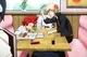 KiriBaku- Studying