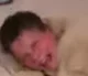 Young Uncle Samsonit