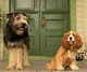 Lady and the Tramp 