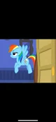 Rainbow Dash 