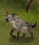Zoww the Hyena - TLK