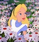 Alice - Wonderland