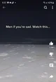 Y M C A