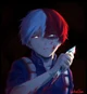 Shoto Todoroki