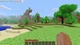 minecraft wii