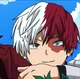 Shoto Todoroki 