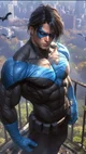 Nightwing 